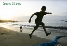 Livro Cooped 18 anos