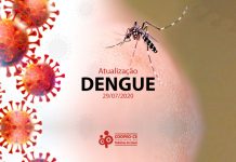 Atualização Dengue – 29/07/2020