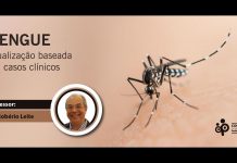 Dengue. Atualização baseada em casos clínicos.