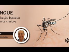 Dengue. Atualização baseada em casos clínicos.