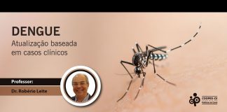 Dengue. Atualização baseada em casos clínicos.